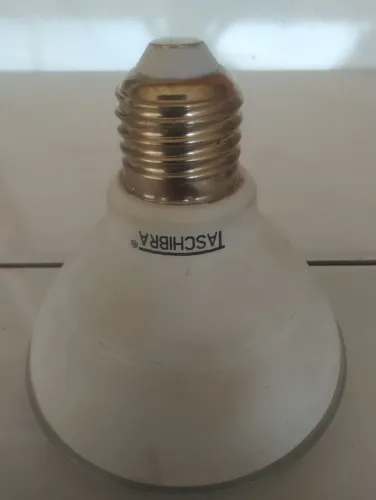 Lâmpadas par 30 LED taschibra