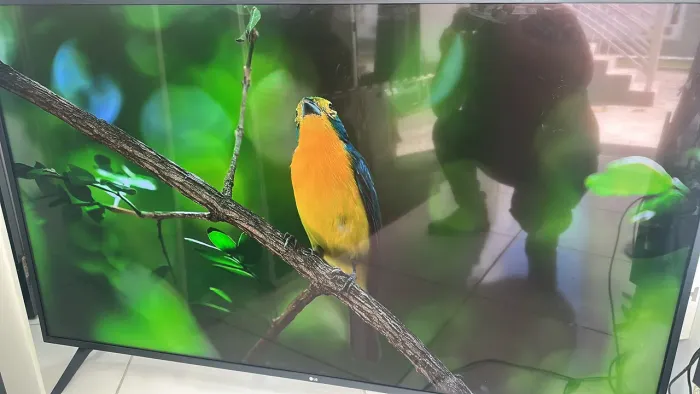 Smart tv 65 polegadas LG