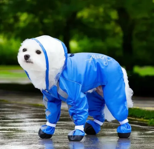 Capa de chuva para cachorro