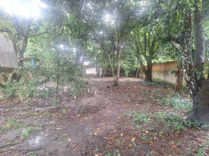Terreno em Aldeia - Sinal verde