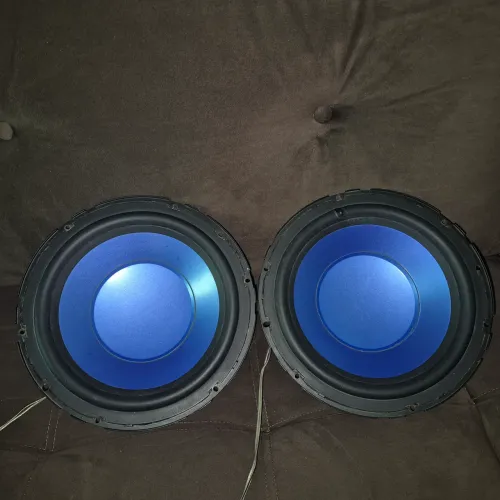 Par alto falante 10 polegadas 300w 