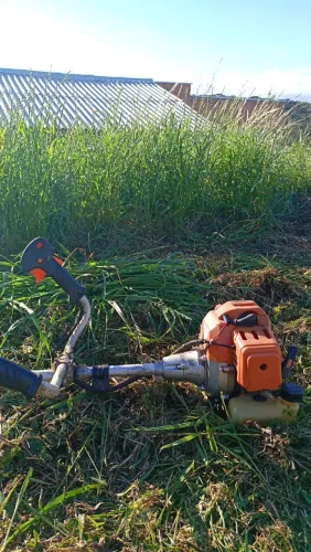 Limpeza de terreno 