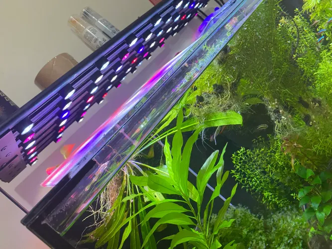 Luminária Aquário Plantado 84 Leds