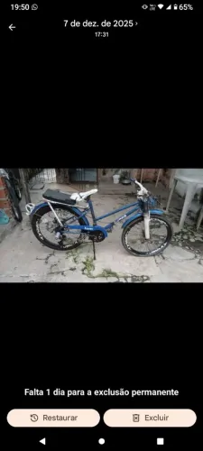 Bicicleta