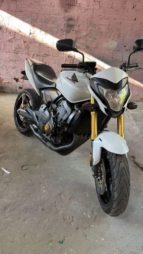 Hornet 2013