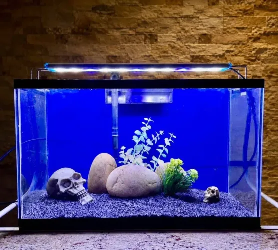 AQUÁRIO 25 LITROS NOVO| MANDE MSG SE REALMENTE TIVER INTERESSE 