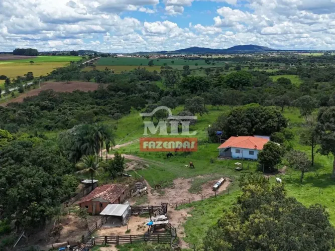 Chácara 4 Alqueires (19,37 hectares) Cromínia - GO