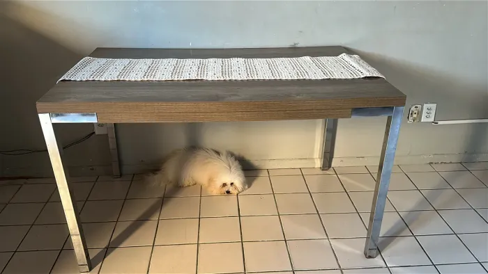 mesa de jantar