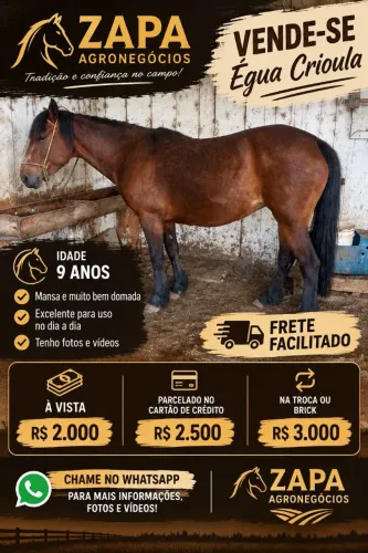 Vende-se égua crioula