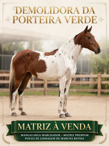Égua mangalarga marchador