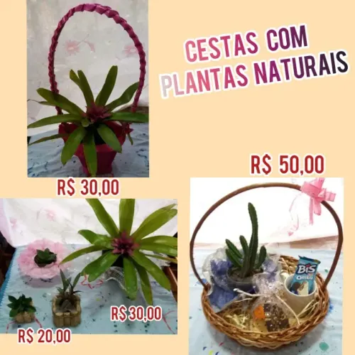 cestas de presente