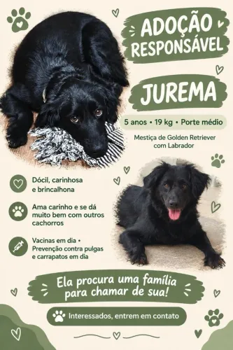 ADOÇÃO RESPONSÁVEL - JUREMA PROCURA UM LAR CHEIO DE AMOR!