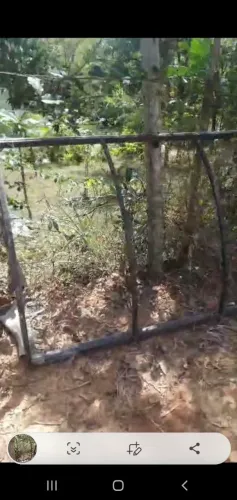 Prateleira e toldos