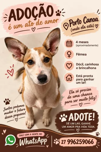 Adoção 