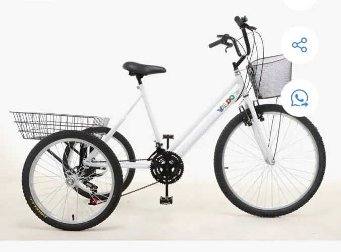 Bicicleta triciclo