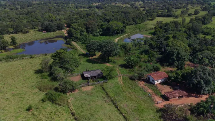 Fazenda pra gado, 40 alq em Israelândia 4km do asfalto argila 34% acima 6 milhões