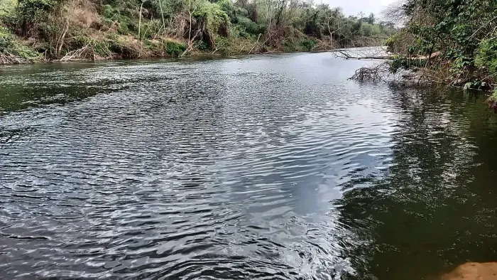 ) Chácaras 20.000m² com fundo pro Rio '