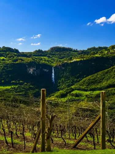 Vale dos Vinhedos