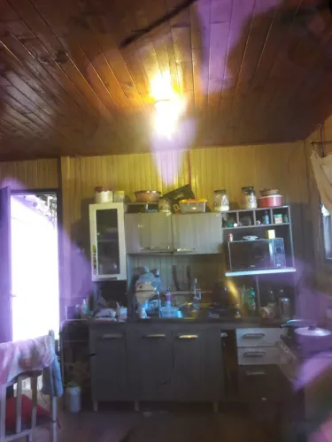 Casa de madeira com quintal grande pode ser construída outra casa no terreno.