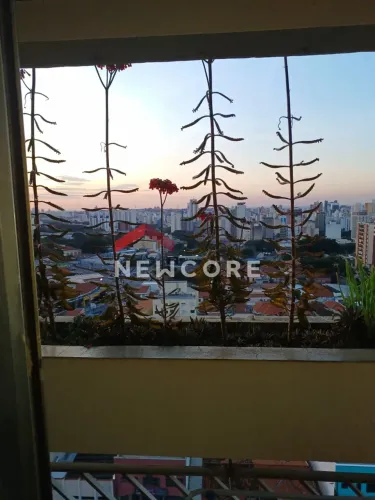 Apartamento em Rua Vitoriano dos Anjos - Vila João Jorge - Campinas/SP