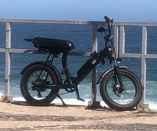 Bicicleta lev 