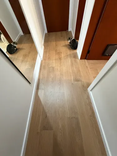 Laminado Quickstep a prova d?água 