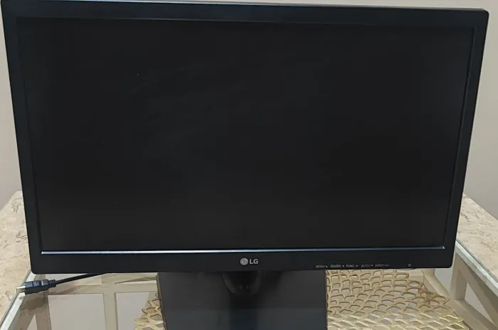 Monitor LG Flatron 19,5? + Adaptador HDMI - R$ 250