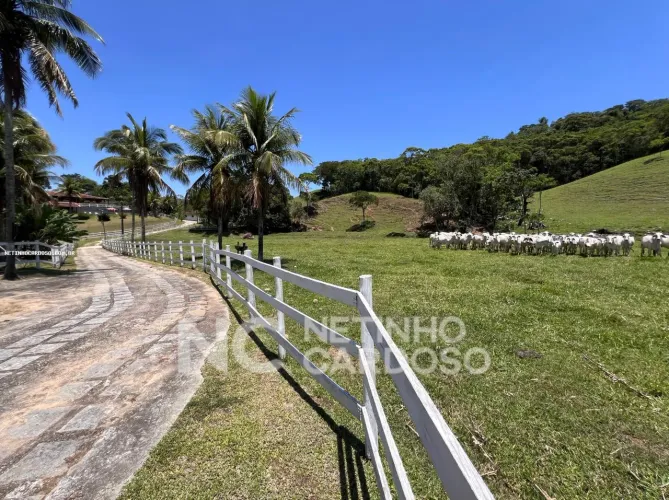 Sítio para Venda em Rio Bonito, 5 dormitórios, 2 suítes, 6 banheiros, 20 vagas