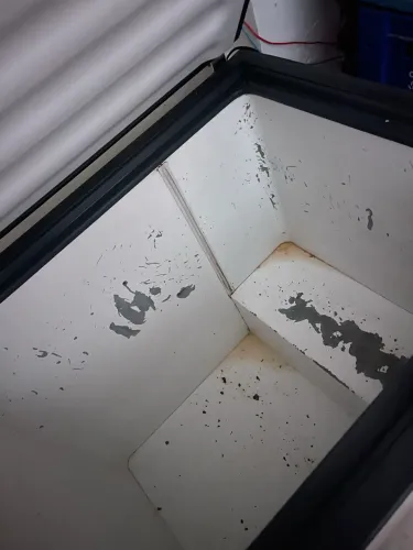 Freezer