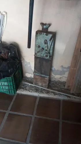 Macaco Chicão 