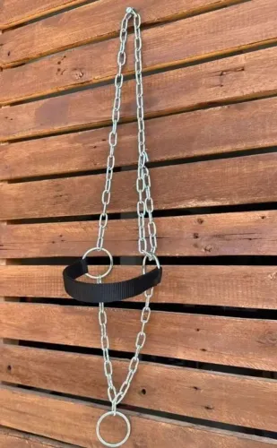 Cabresto de corrente para touros e vacas