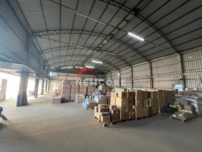 Galpão em Rua Raymundo Ramos da Costa Almeida - Brejarú - Palhoça/SC