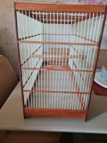 Vendo esss linda voadora ou solta.