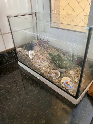 Aquário