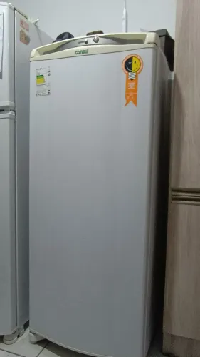 Frizzer Consul usado