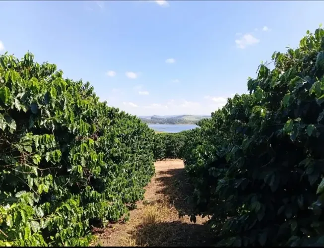 Magnífica Fazenda com 90 Hectares, em Carmo do Rio Claro/MG 