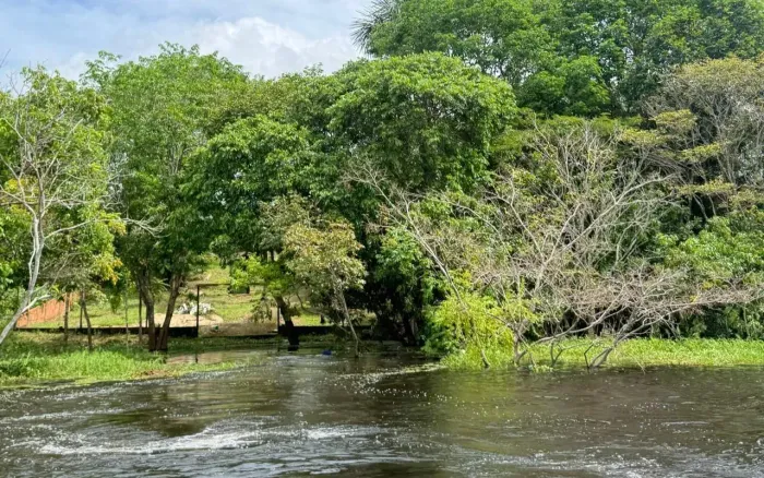 Vendo Sitio na Comunidade Santa Luzia (Puraquequara).