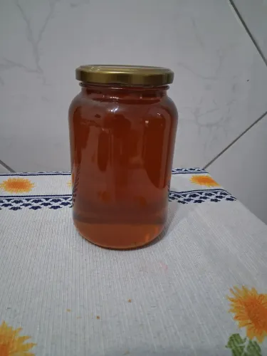 Mel silvestre puro 1kg 