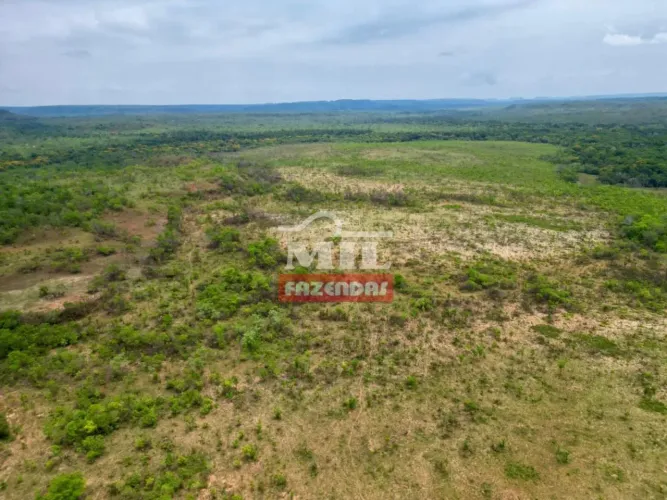 Fazenda 350 alqueires (1.698 hectares) Goiatins - TO