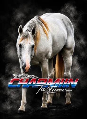 Venda de Cobertura do cavalo RCH Charmin tá Fame