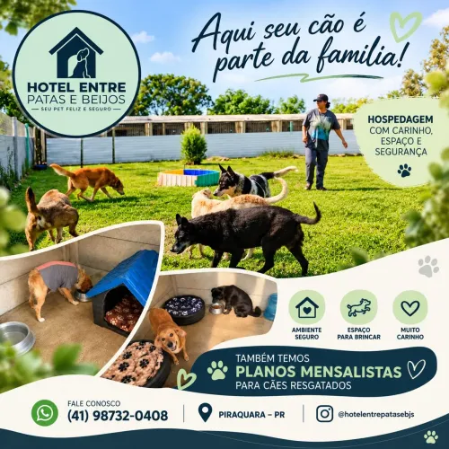 Hospedagem para caes.