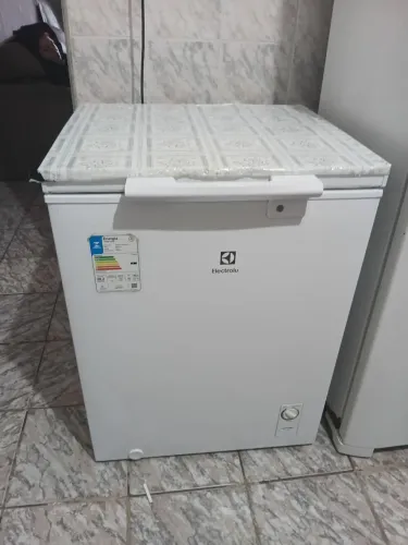Frizzer semi novo