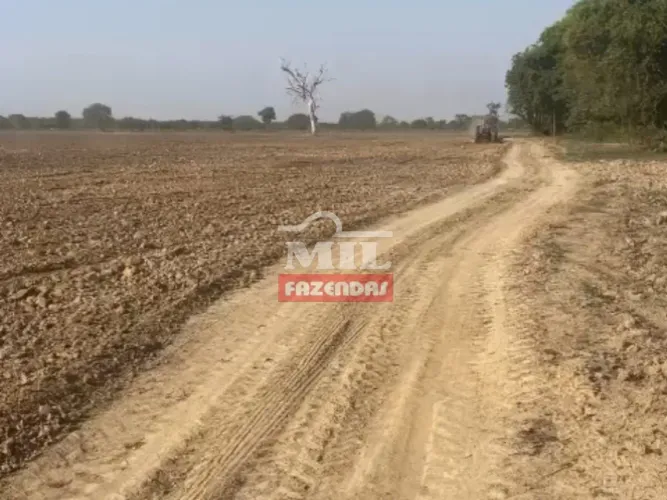 Fazenda em São Miguel do Araguaia-GO. Área Total: 276 Alqueires (1.335 Há