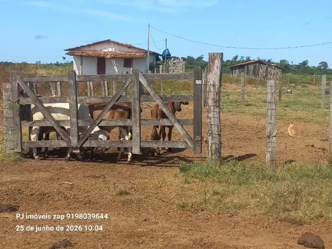 90 alqueires fazenda pronta antes de Paragominas documentada R$ 11 milhões de reais