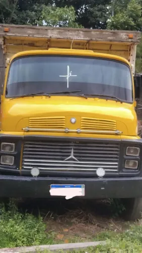 Caminhão boiadeiro