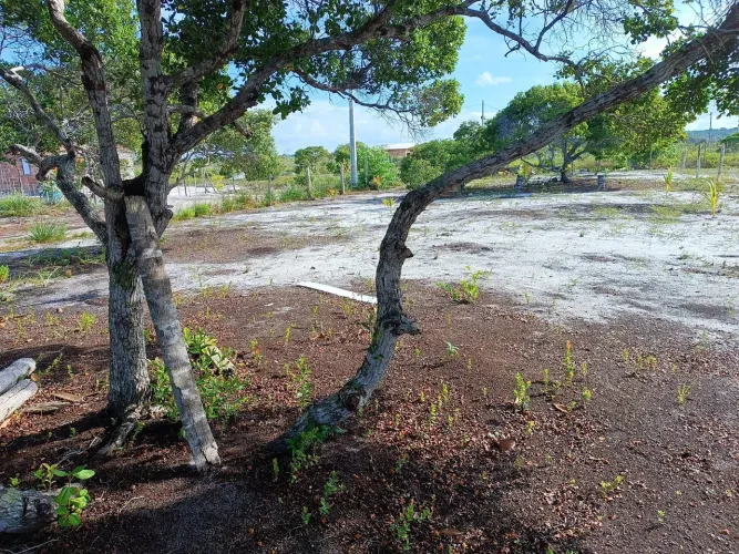 TERRENO PRÓXIMO À PRAIA.