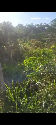 Vendo ou troco por moto com volta!