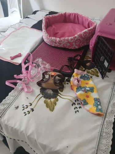 Kit Pet rosa para cachorro tudo completo R$200