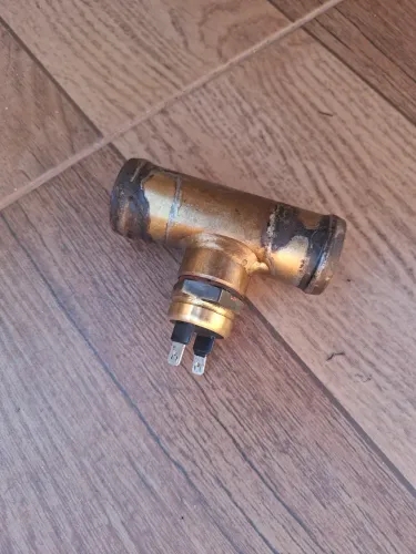 Vendo cebolão completo.
