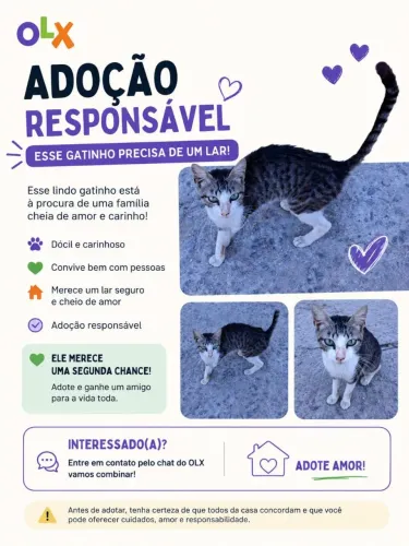 Doa-se gatinho ?